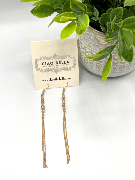 Amber  Earrings